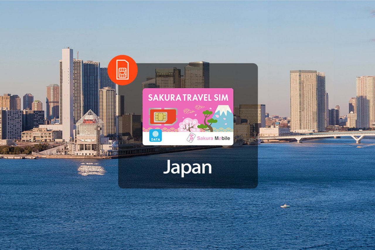 japan pocket wifi vs sim card
